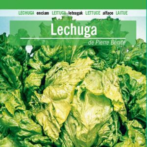 LECHUGA De Pierre Benite