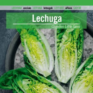 LECHUGA Cogollos Little Gem