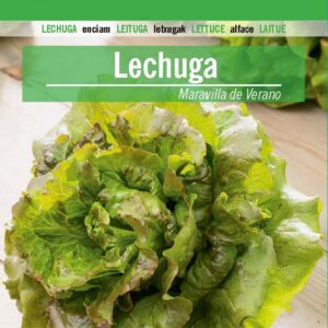 LECHUGA Maravilla de Verano