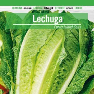 LECHUGA Parris Island Coss