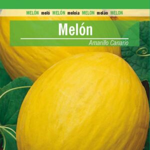 MELON Amarillo