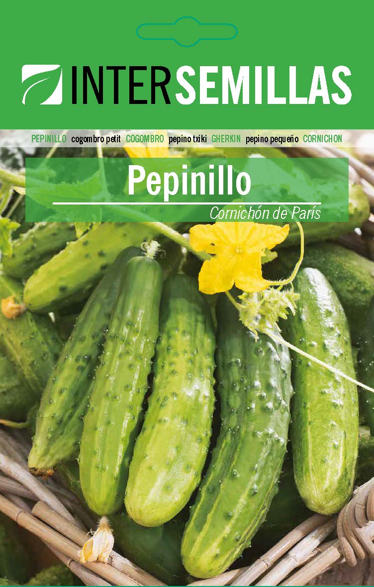PEPINO Cornichón de París