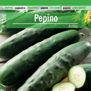 PEPINO Ashley
