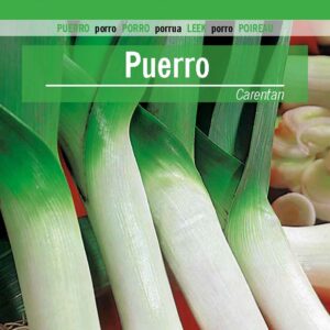PUERRO Carentan