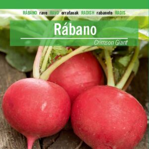 RABANO Crimson Giant