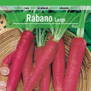 RABANO Largo Rojo