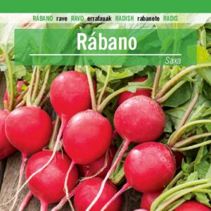 RABANO Redondo Rojo Saxa