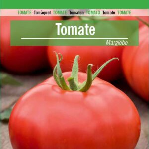 TOMATE Marglobe