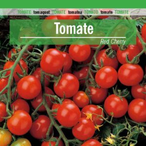 TOMATE Red Cherry