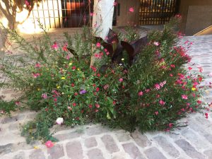alcorque floral