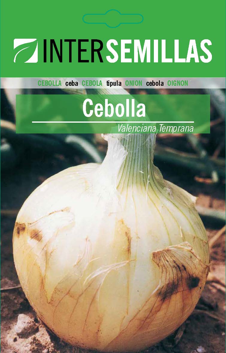 VALENCIANA TEMPRANA