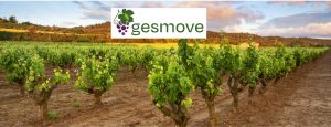 gesmove-2