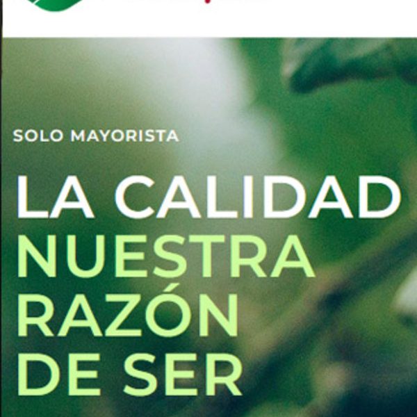10-sidipal