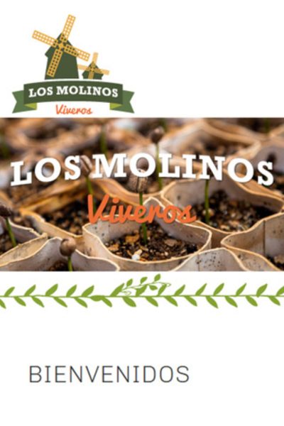 11-los molinos ferplantastur
