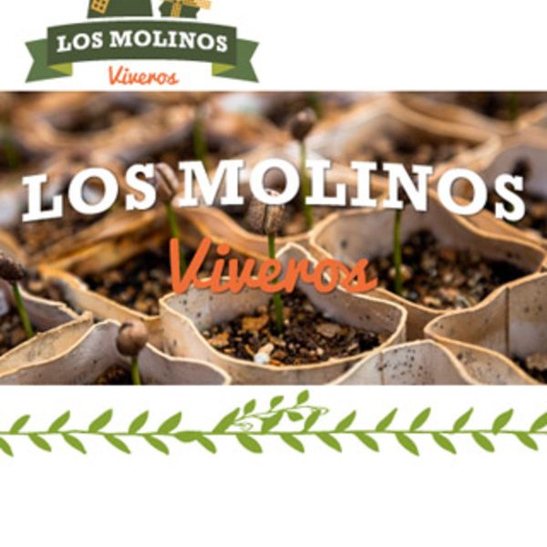 11-los molinos ferplantastur