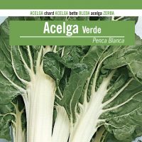 ACELGA-VERDE