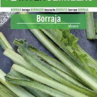 BORRAJA MOVERA-02