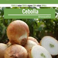 CEBOLLA AMONQUELINA (2)