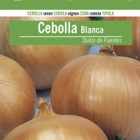CEBOLLA-BLANCA-DULCEFUENTES-w