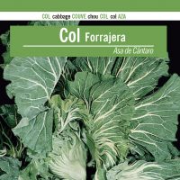 COL-FORRAJERA-ASACANTARO