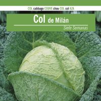 COL-MILAN-SIETE-SEMANAS