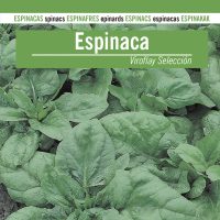 ESPINACA-VIROFLAY