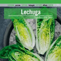 LECHUGA Little Gem cogollos