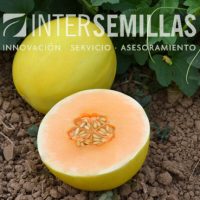 M-10255_INTERSEMILLAS