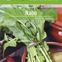 NABO GRELOS SANTIAG