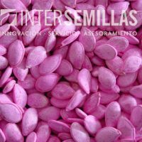 PRT-SHINTOZA_INTERSEMILLAS