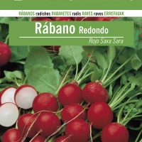RABANO-REDONDO-ROJO-SAXA-SARA