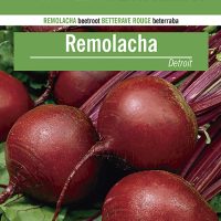 REMOLACHA-DETROIT