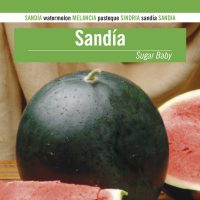 SANDIA_SUGAR BABY