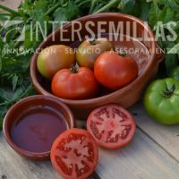 T-11753_INTERSEMILLAS