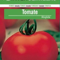 TOMATE-MARGLOBE
