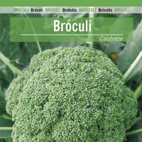broculi-ramoso