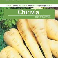 chirivia blanca de guernesey