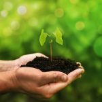 Concept of the environment World Earth Day. Protect clean planet, saving environment and ecology.