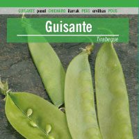guisante-tirabeque-200x200