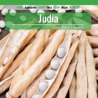 judia-coco-blanc-precoce-200x200