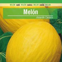 melon-amarillo-canario-200x200
