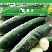 pepino-ashley-200x200